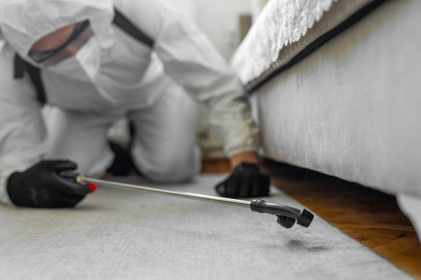 Professional Bed Bug Control technician working in Milledgeville, IL
