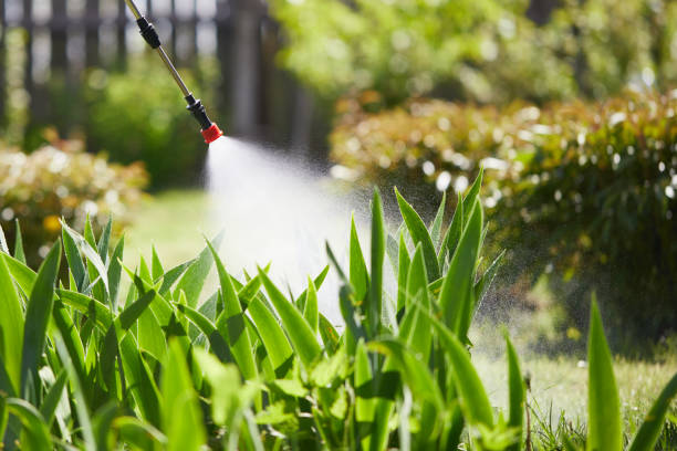 24/7 Emergency Bed Bug Control experts in Milledgeville, IL